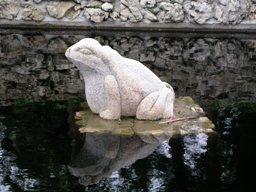 granite frog