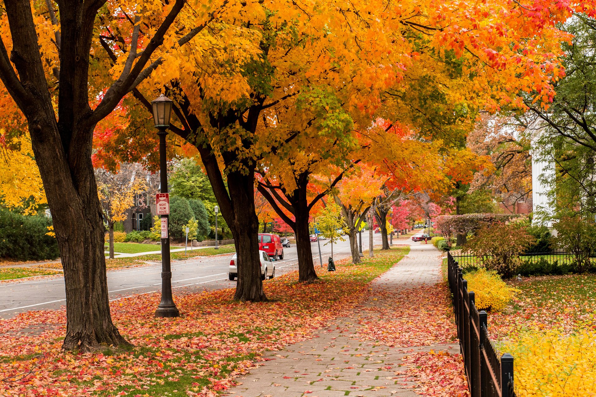 Residential street in Saint Paul