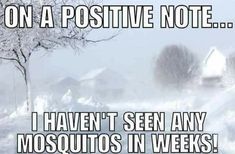 Winter Graphic, on a positive note I haven't seen any mosquitos in weeks