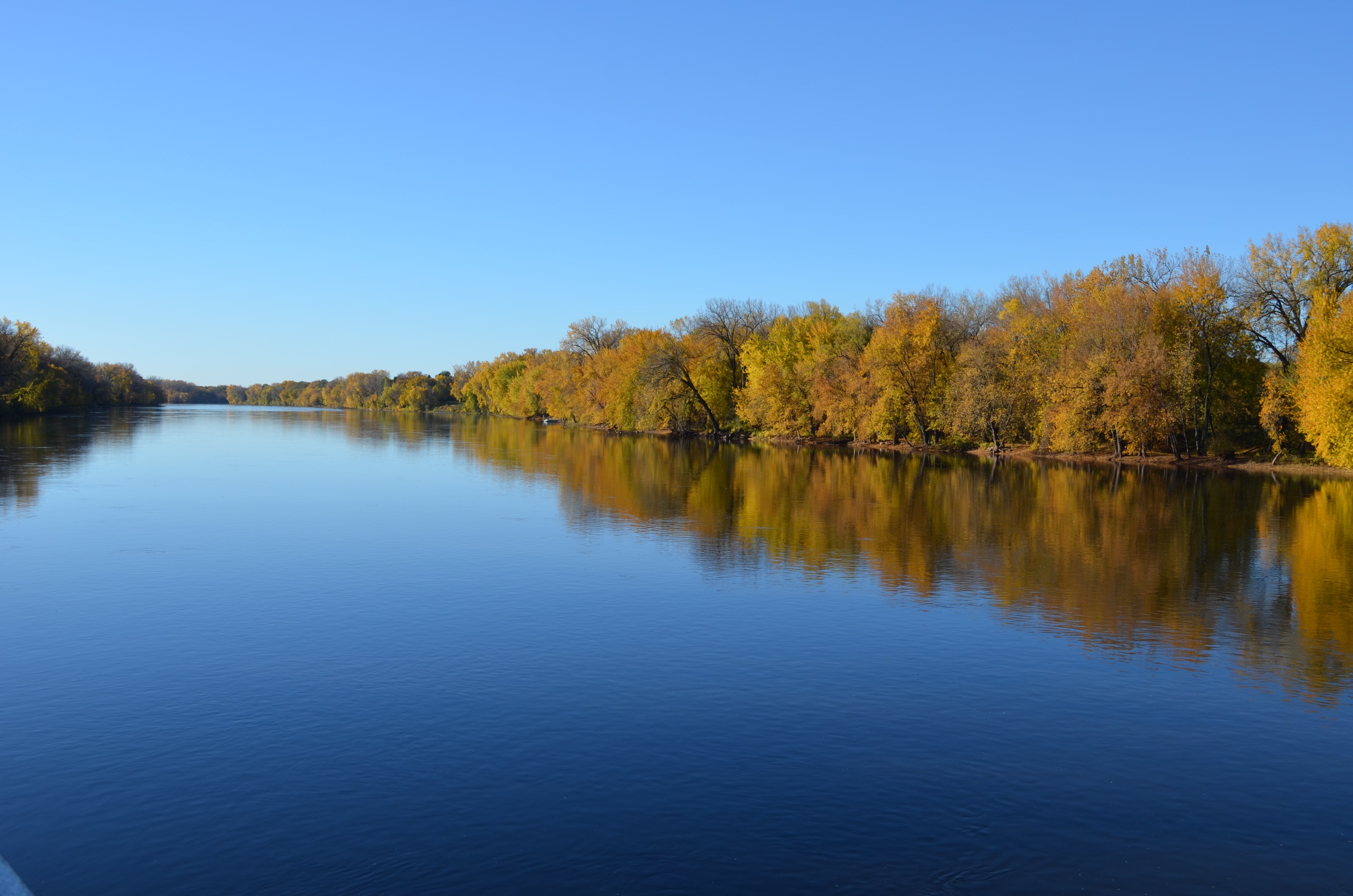 Lake water and shore