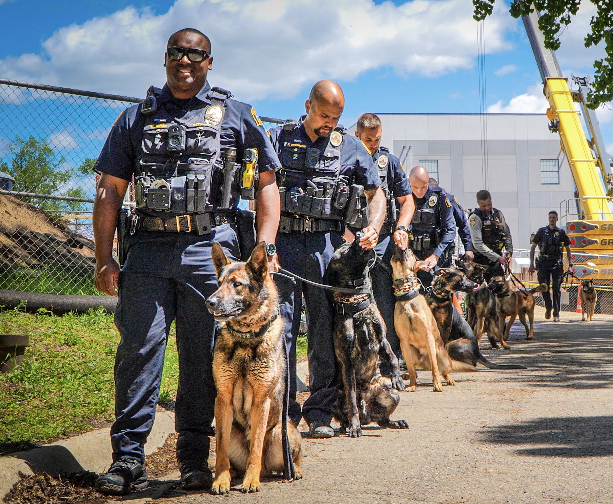A line of police officers in uniform and vest handle police dogs on a leash at their sides.