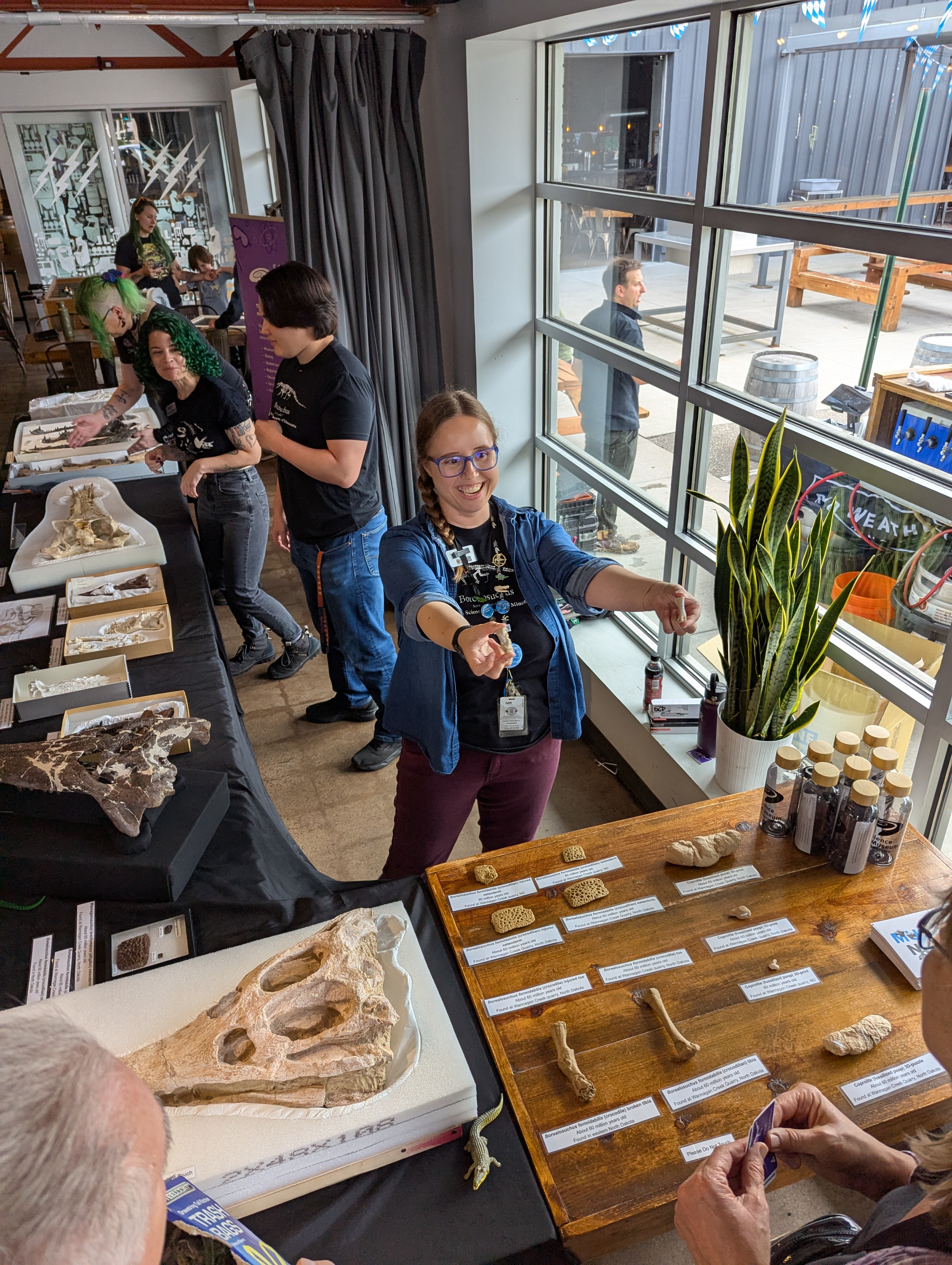 A museum educator shows visitors crocodile fossils at a Croctoberfest event in a brewery taproom.