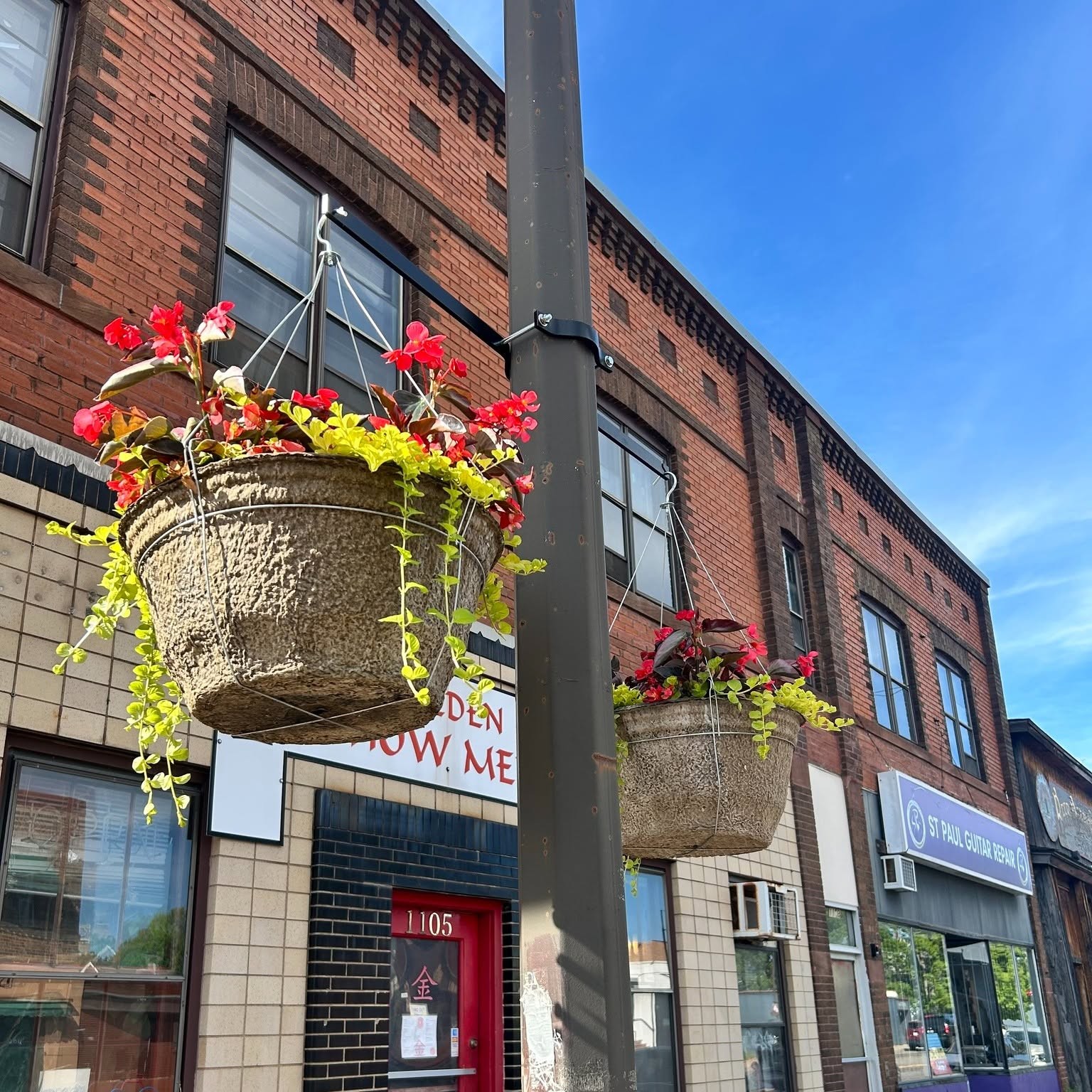 Two hanging baskets of red begonias and trailing creeping jenny on a Snelling Avenue streetlight, with Snelling Cafe and St. Paul Guitar Repair storefronts visible.
