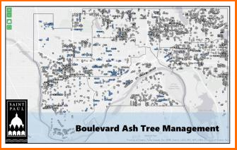 Ash tree management map