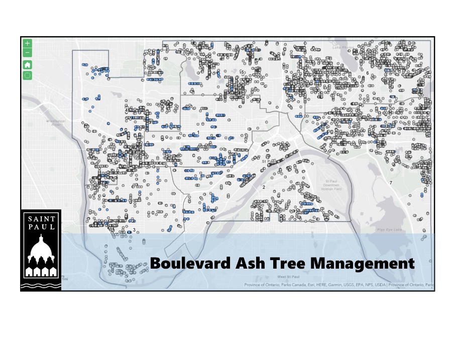 Map of Boulevard Ash Trees in St. Paul