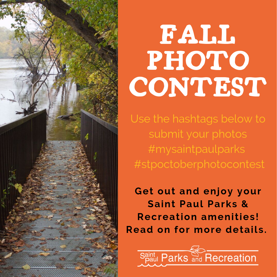 Fall Photo Contest image with title and fallen leaves on a bridge