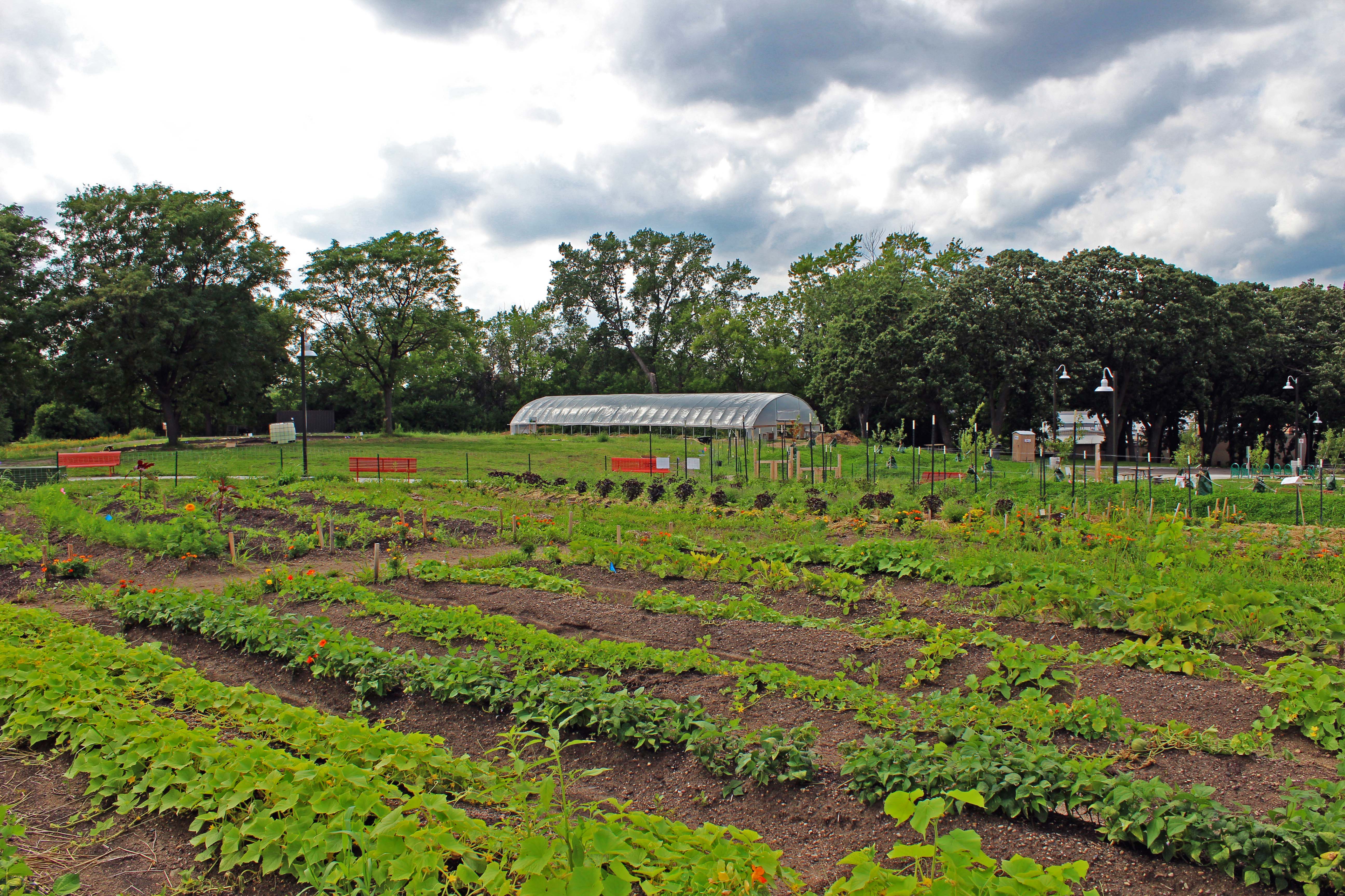 Frogtown Park and Farm