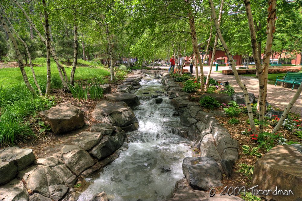 Mears Park Stream