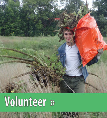 Click to view Volunteer Section