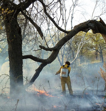 Saint Paul Natural Resources staff performing a prescribed fire.