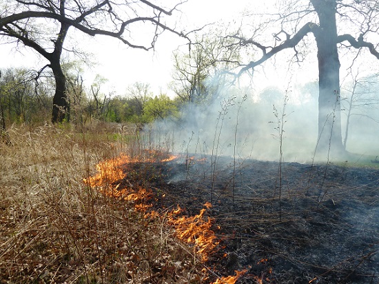 Prescribed burn with flames and smoke