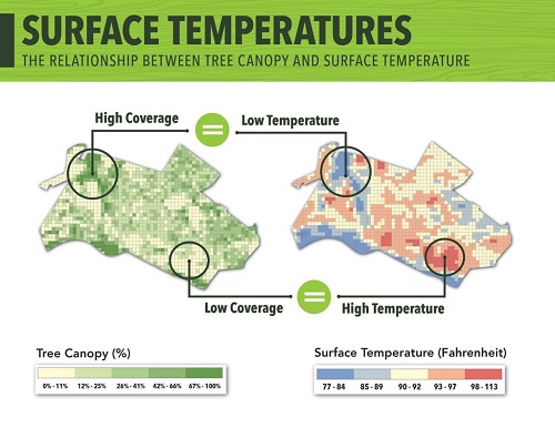 Surface Temperature Diagram