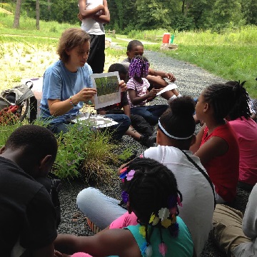 Students learn about native plants in the Como Woodland Outdoor Classroom