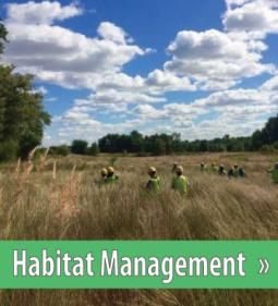 Click to view Environmental Services Section