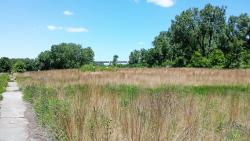 Bruce Vento Prairie scene