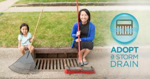 Adopt a Drain - sign up today! Adopt a Drain - sign up today!