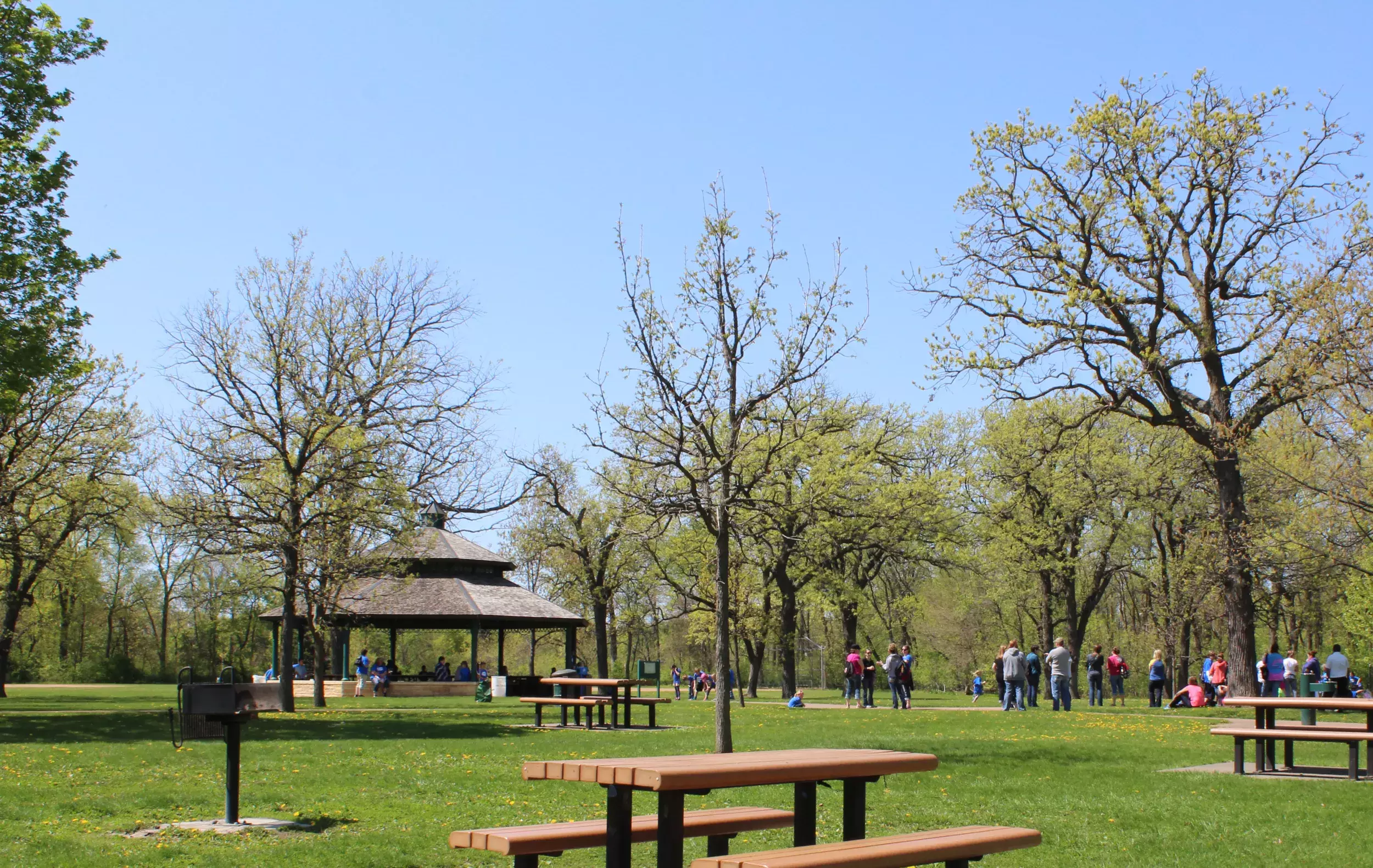 Como Regional Park picnic shelter and picnic tables in the early spring
