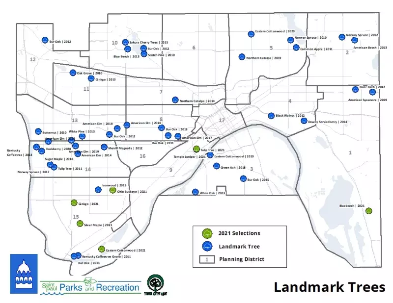 2021 Landmark Tree Map