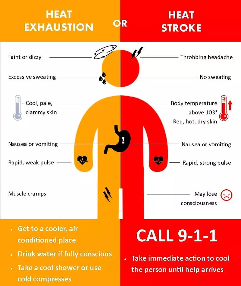 Infographic showing the body symptoms and responses to heat illness and heat stroke