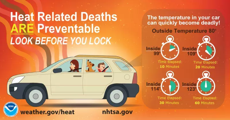 infographic showing how hot a car gets in heat