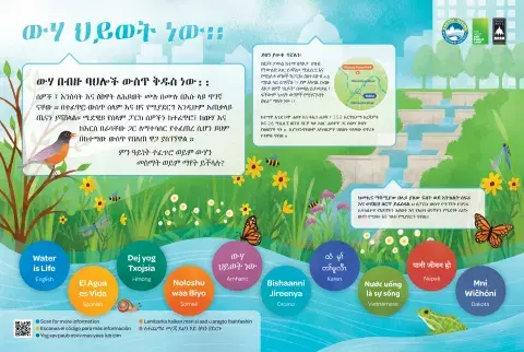 Amharic translation of water is life sign