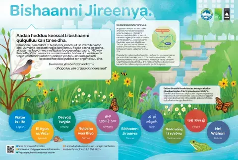 Oromo translation of water is life sign