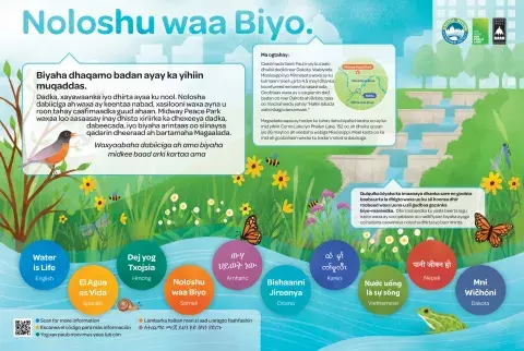 Somali translation of water is life sign
