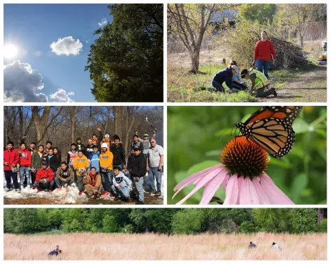 pictures of volunteers working in parks