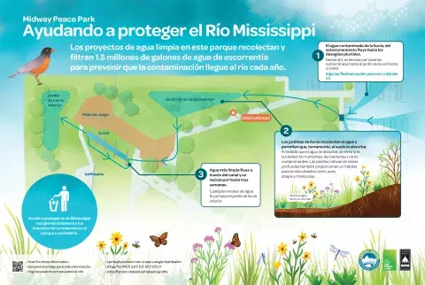 Spanish translation of helping to protect the Mississippi river sign Spanish translation of helping to protect the Mississippi river