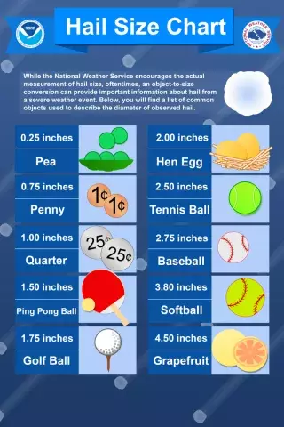 Infographic showing hail sizes next to everyday items