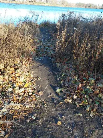 Como Park lake site where path has erroded_image 1