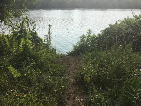 Como Park lake site where path has erroded_location 4 1