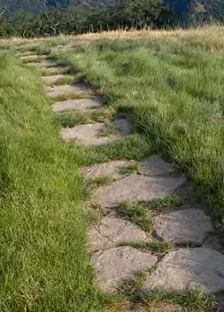 Como Park lake site path replacement example_flagstone