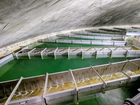 Clarifiers in the new water treatment plant