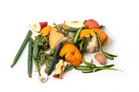 Stale bread, vegetable, and fruit peels that should be composted