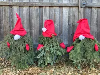 Three Tree Gnomes lined up wearing hats and mittens
