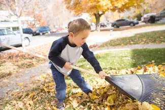 Raking Leaves Child Raking Leaves