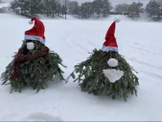 Tree Gnomes 2022-2023 versions Two tree gnomes side-by-side with fluffy white noses and red Santa hats. One has a white beard and another is wearing a brown scarf.