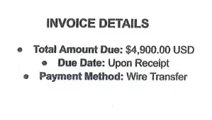 Screenshot of fraudulent invoice. Bullet points are misaligned. Text reads: "Total Amount Due: $4,900.00 USD. Due Date: Upon Receipt. Payment Method: Wire Transfer."