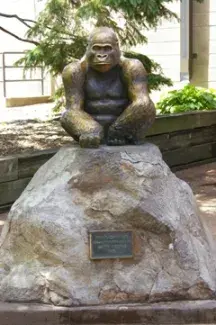 Don the Gorilla Public Art