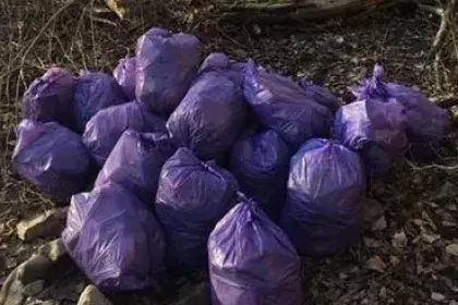 Bags of litter collected from the woods