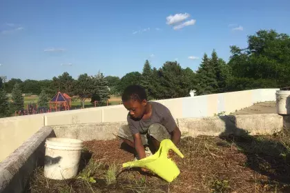A child crouches to water a newly planted garden bed