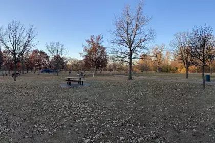 Como Regional Park - Picnic Area 