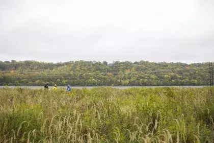 Lilydale Park in the fall with volunteers collecting seed