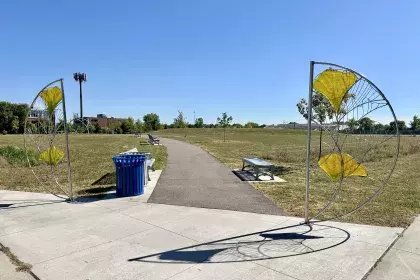 Ginkgo:Light public art at Westgate Commons Park