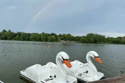 Two swan-shaped pedal boats tied up along a wooden dock on Como Lake.