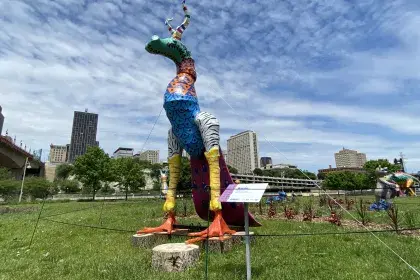 Alebrijes: Keepers of the Island