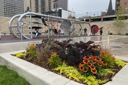Pedro Park Gardens