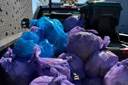 Bagged litter in back of pickup truck