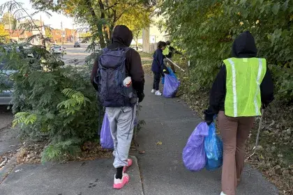 Litter participants searching for litter and picking it up